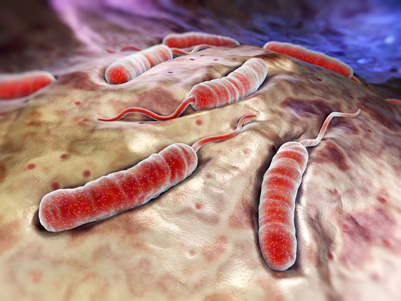 Cholera