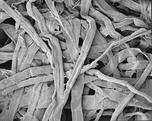 20 Fibers