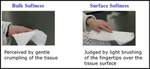 Consumer softness evaluation